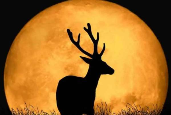La Luna de Ciervo se ver&aacute; esta noche de este jueves en Ecuador.