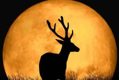 La Luna de Ciervo se ver&aacute; esta noche de este jueves en Ecuador.