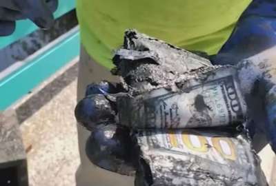 Los billetes hallados por la pareja se encontraban en un p&eacute;simo estado.