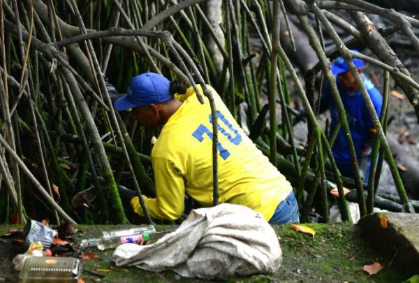 Seg&uacute;n datos del Municipio de Guayaquil, al d&iacute;a 80 sacos de desechos se retiran del ramal del Estero Salado. 