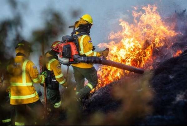Seg&uacute;n el Municipio de Quito, los incendios forestales incrementaron en un 130% en este 2024. 