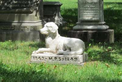 En Cuenca se crear&aacute; el primer cementerio municipal para mascotas