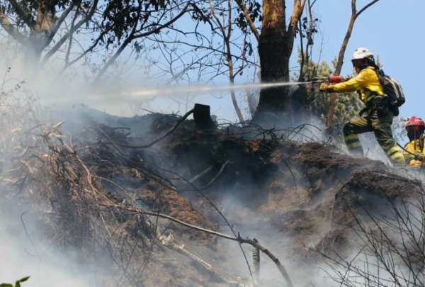 El Cuerpo de Bomberos confirm&oacute; que el incendio de Gu&aacute;pulo se encuentra liquidado.