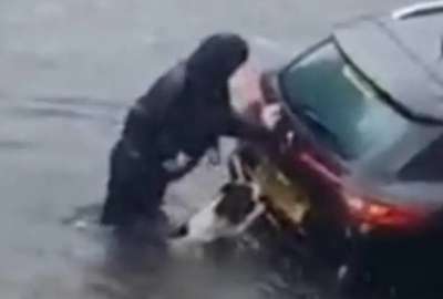 Viral: perrito ayuda a su due&ntilde;o a empujar su auto en medio de una inundaci&oacute;n