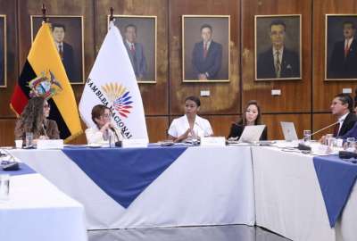 Diana Salazar acudi&oacute; a la Comisi&oacute;n de R&eacute;gimen Econ&oacute;mico. 