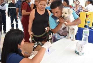 Guayaquil: Estos son los puntos de atenci&oacute;n gratuita para tu peludito