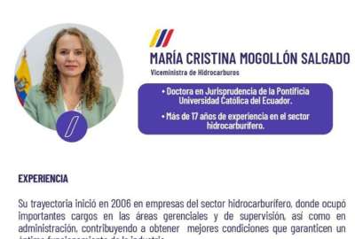 Mar&iacute;a Cristina Mogoll&oacute;n es la nueva viceministra de Hidrocarburos
