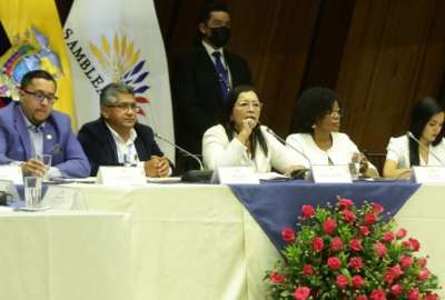 "La comisi&oacute;n multipartidista tiene de todo menos de multipartidista", dice Guadalupe Llori