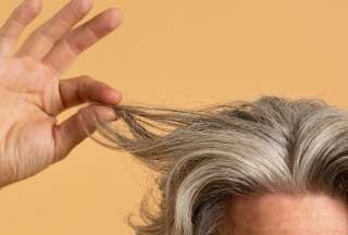 &iquest;Canas prematuras? Aprenda a combatirlas naturalmente con este ingrediente