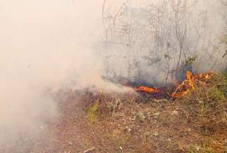 Ecuador inicia la semana con 22 incendios forestales