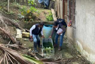 Los casos de dengue han bajado en Ecuador
