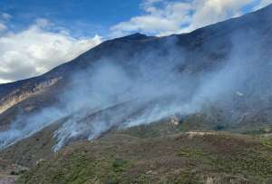 Un grave incendio consume en tres días 400 hectáreas de vegetación. El fuego empezó en Girón y se extendió hasta Santa Isabel, Azuay.