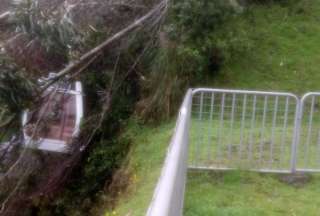 &iexcl;Alerta! Ca&iacute;da de un &aacute;rbol en el Telef&eacute;rico