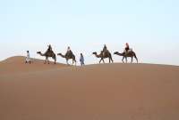Esto se conoce sobre las fuertes lluvias en el desierto del Sahara.