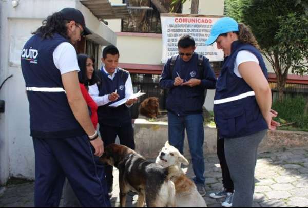 Este s&aacute;bado 6 de julio se realizar&aacute; un censo de animales de compa&ntilde;&iacute;a en Chillogallo.