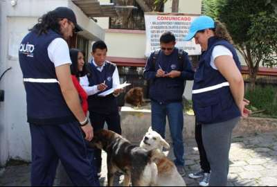 Llega el censo poblacional de mascotas a Chillogallo