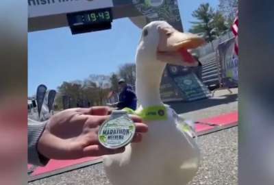 Este pato demostr&oacute; que no tiene nada que envidiar a los humanos y termin&oacute; una carrera.
