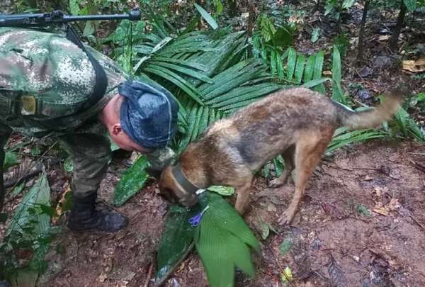  Las autoridades mantienen la b&uacute;squeda de los ni&ntilde;os en Colombia 