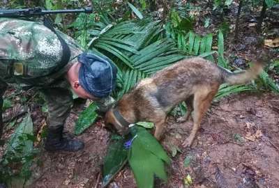 Militares buscan sin descanso a cuatro ni&ntilde;os desaparecidos tras accidente a&eacute;reo en Colombia