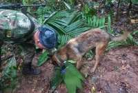 Las autoridades mantienen la búsqueda de los niños en Colombia