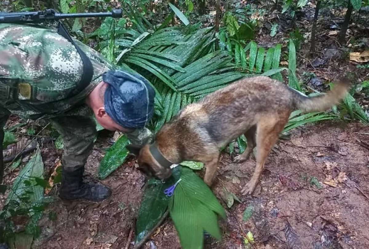  Las autoridades mantienen la búsqueda de los niños en Colombia 