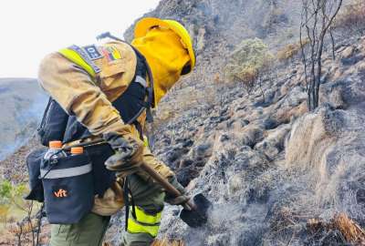 El incendio en las laderas del Pichincha contin&uacute;a activo. Ya son m&aacute;s de 25 hect&aacute;reas consumidas.