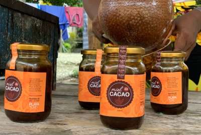 Producci&oacute;n de cacao. 