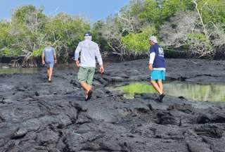 Descartan influenza aviar en Gal&aacute;pagos, las actividades se retoman parcialmente