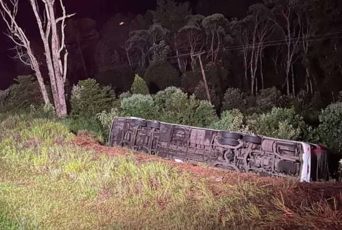 Un bus cay&oacute; a un barranco en Paran&aacute;, Brasil
