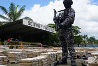 M&aacute;s de 22 toneladas de droga fueron decomisadas en las &uacute;ltimas horas