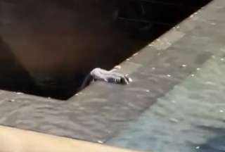 Nueva York: Acusan penalmente a hombre que salt&oacute; a la piscina del Memorial del 11 de septiembre  &nbsp;