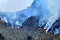 Las causas del incendio se investigan.