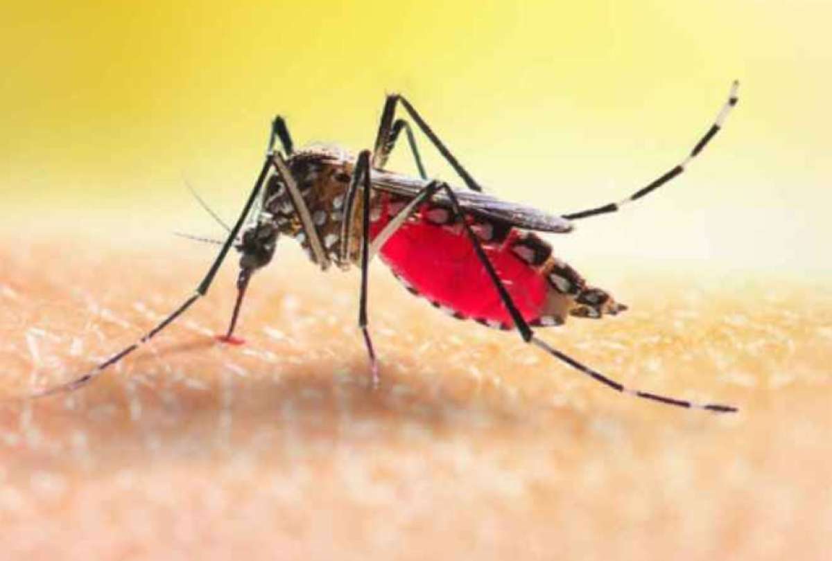 Los mosquitos se sienten atra&iacute;dos por unas personas m&aacute;s que por otras