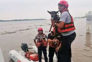 Un perro fue abandonado en un islote del r&iacute;o Guayas. 