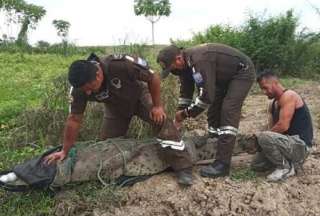 Polic&iacute;a rescat&oacute; a un cocodrilo atrapado en un r&iacute;o