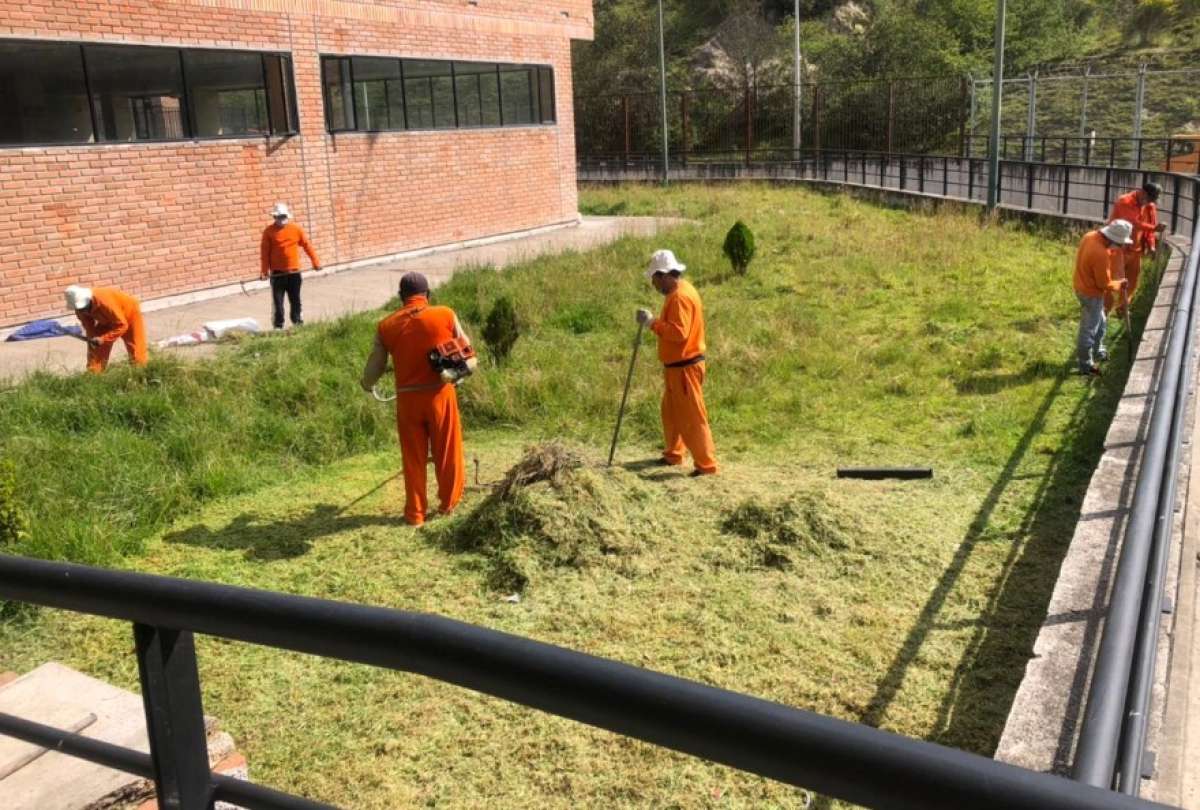 Un grupo de ppl adecentaron espacios verdes y &aacute;reas comunales, en Azuay