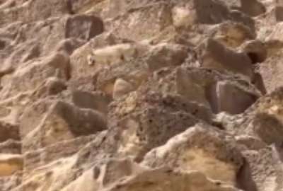El perrito que se hizo viral en la cima de la Gran Pir&aacute;mide de Giza por fin decidi&oacute; bajar. 