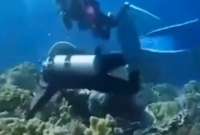 As&iacute; se ve un terremoto en las profundidades marinas