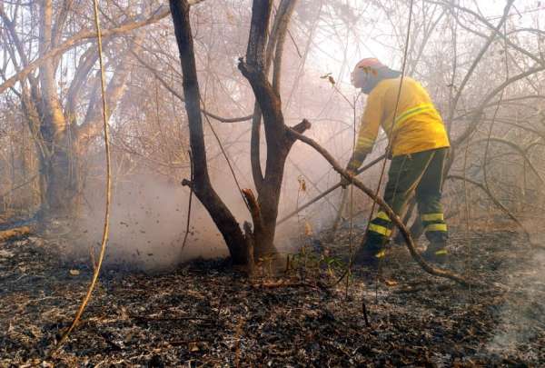 La ola de calor y la vegetaci&oacute;n seca propici&oacute; m&uacute;ltiples focos de incendio. 