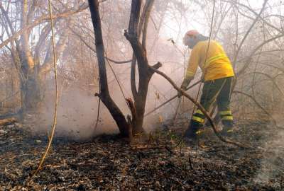 La ola de calor y la vegetaci&oacute;n seca propici&oacute; m&uacute;ltiples focos de incendio. 