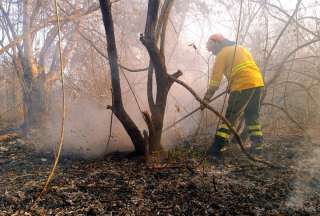 Guayaquil combati&oacute; diez incendios en las &uacute;ltimas 48 horas