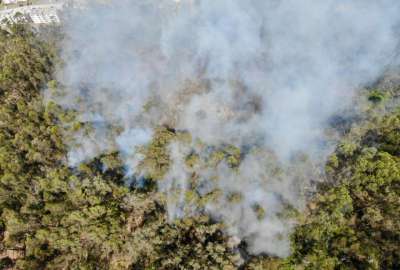 Personal del Cuerpo de Bomberos busca acabar con el fuego.