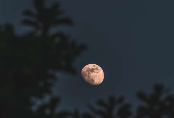 El primer plenilunio de 2025 iluminará el cielo la noche del 13 de enero con un brillo único y especial.