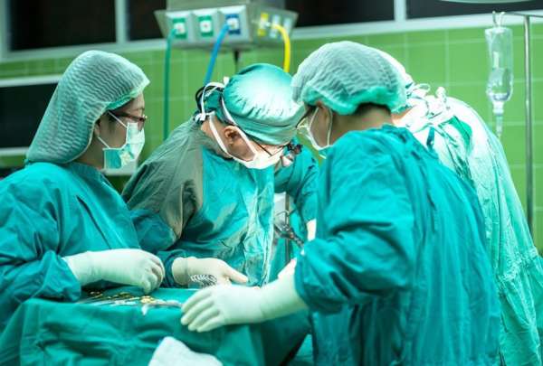 Trasplantan con &eacute;xito dos corazones de cerdo a pacientes humanos en Nueva York