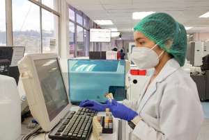 MSP, OPS Y UDLA analizaron el uso del cannabis con fines medicinales