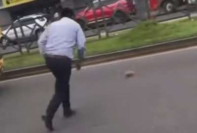 Escape de un cuy detiene el tr&aacute;fico y se vuelve viral 