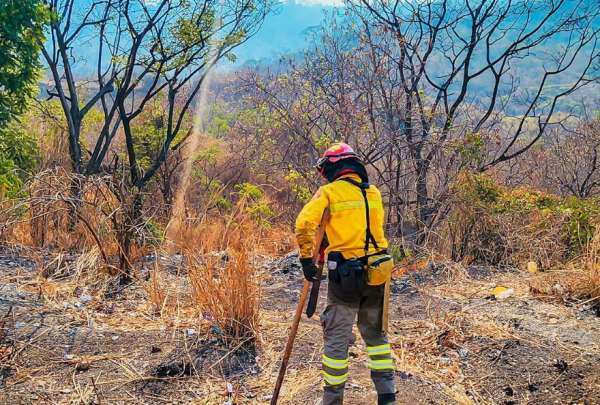 El Ministerio de Educaci&oacute;n autoriz&oacute; la suspensi&oacute;n de clases en el Distrito Ceibos de Guayaquil por un incendio forestal.