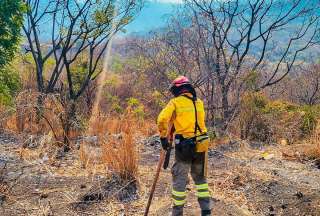 Guayaquil: Suspenden las clases en el Distrito Ceibos por incendio forestal