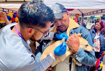 M&aacute;s de dos millones de vacunas benefician a la poblaci&oacute;n canina y felina de Ecuador.