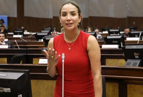La asamble&iacute;sta Yadira Vargas, durante una invervenci&oacute;n en el Pleno del Legislativo. 